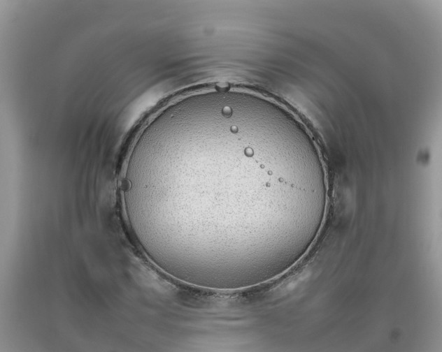 X0000092061067200709191136