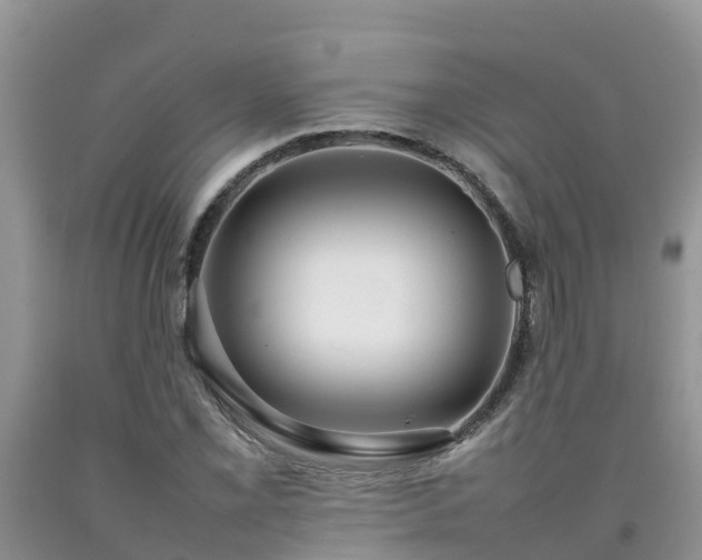 X0000092061069200709191136