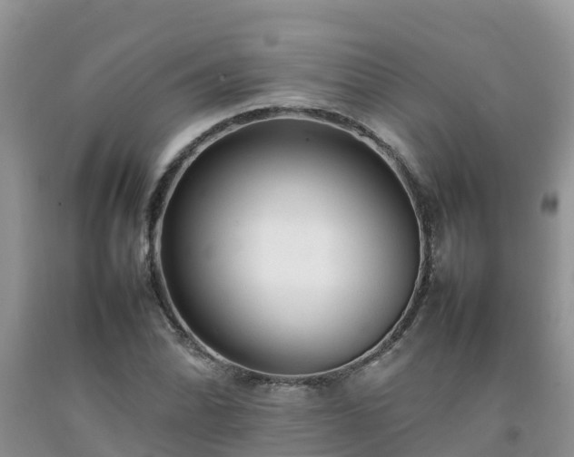 X0000092061070200709191136