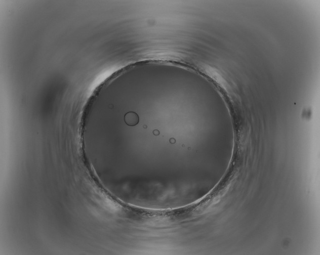 X0000092061071200709191136