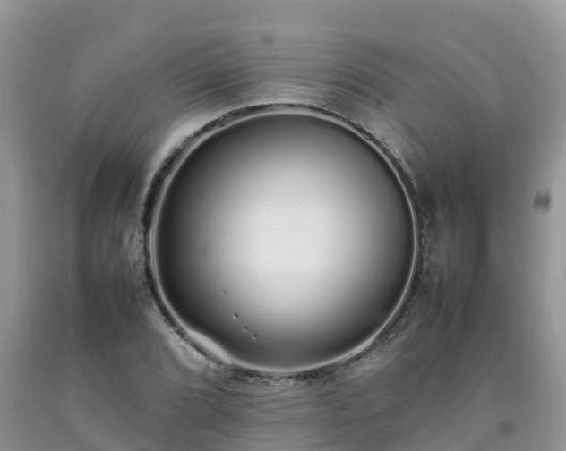 X0000092061072200709191136