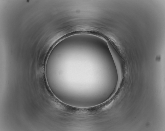 X0000092061073200709191136