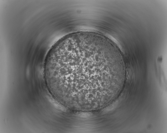 X0000092061074200709191136