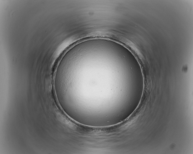 X0000092061075200709191136