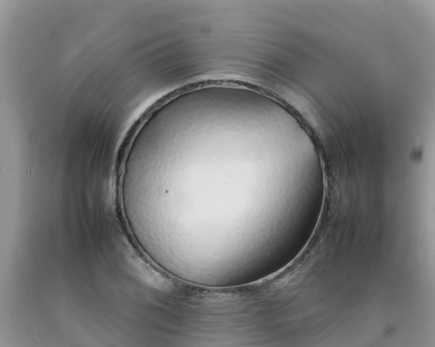 X0000092061076200709191136