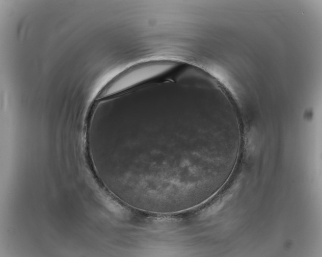 X0000092061077200709191136