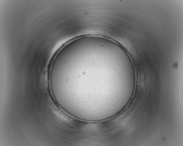 X0000092061078200709191136