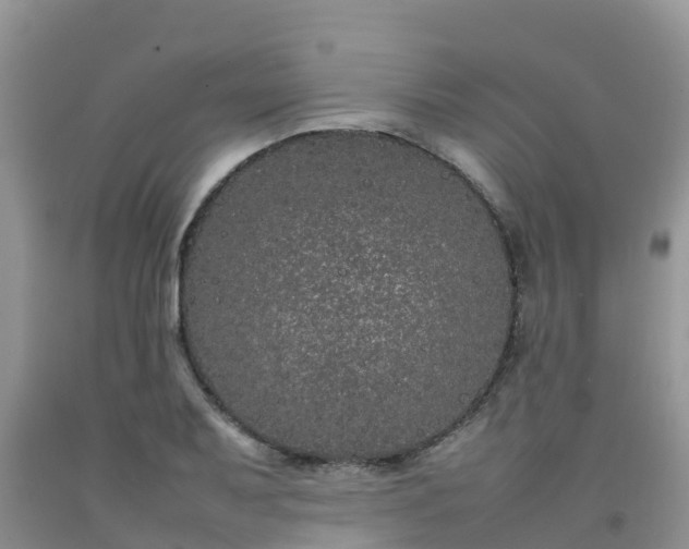 X0000092061079200709191136