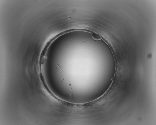 X0000092061080200709191136