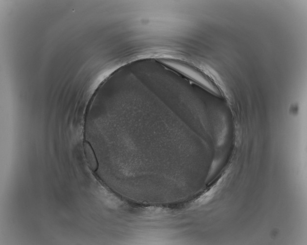 X0000092061081200709191136