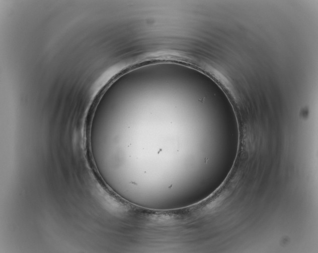 X0000092061082200709191136