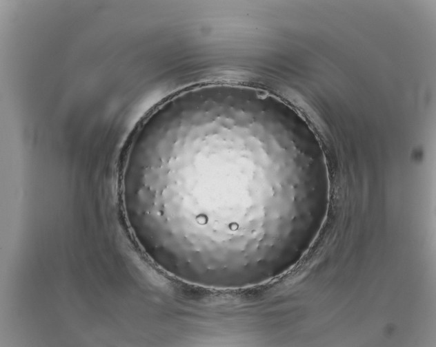 X0000092061083200709191136