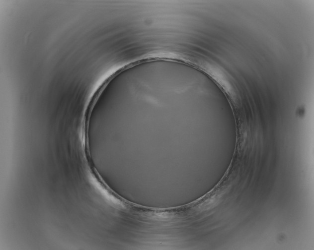 X0000092061084200709191136