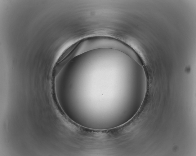 X0000092061085200709191136