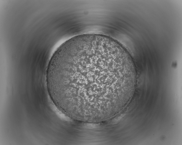 X0000092061086200709191136