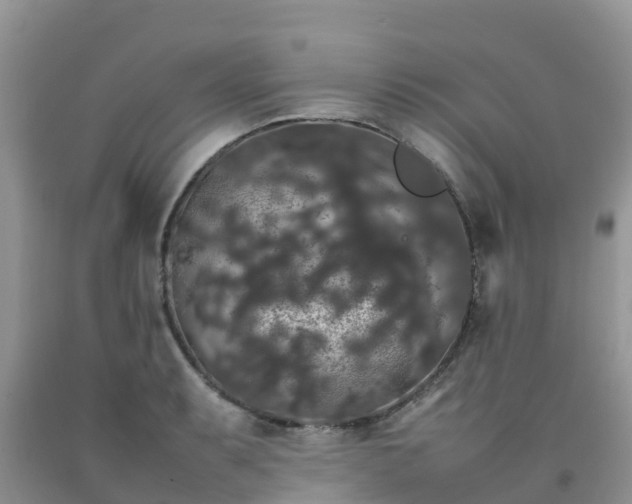 X0000092061087200709191136