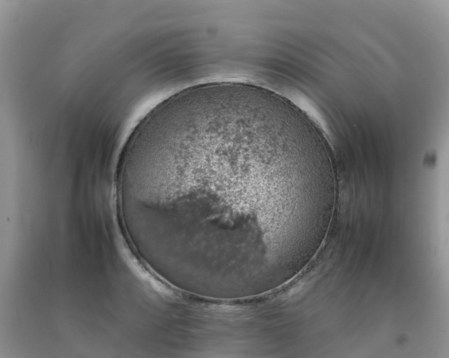 X0000092061088200709191136