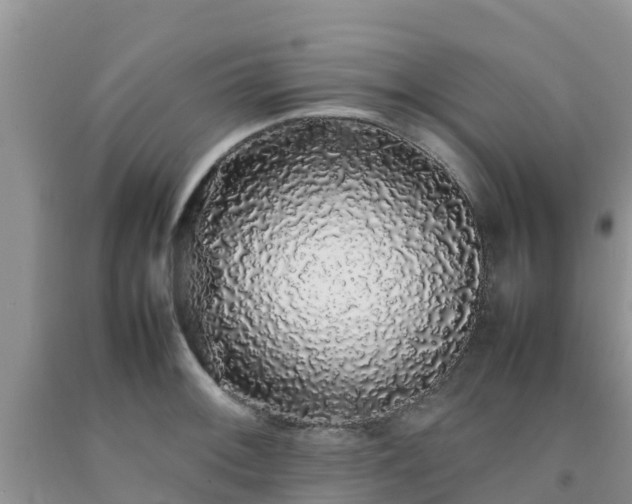 X0000092061092200709191136