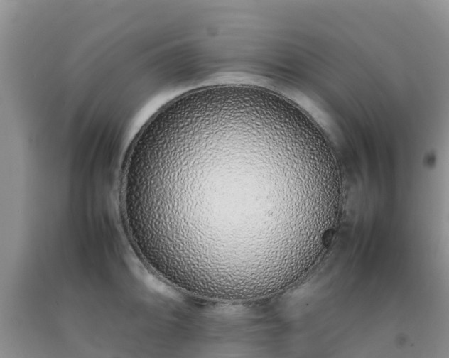 X0000092061094200709191136