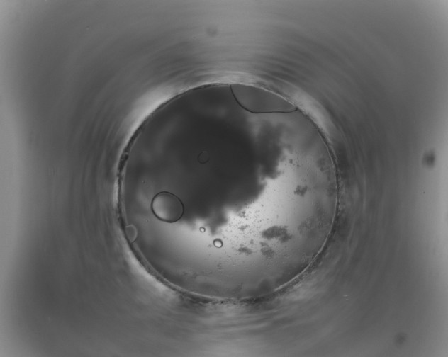 X0000092061095200709191136