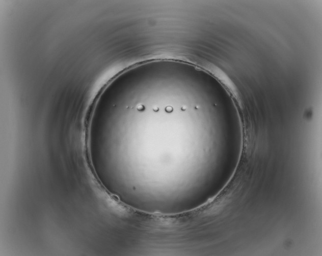 X0000092061096200709191136