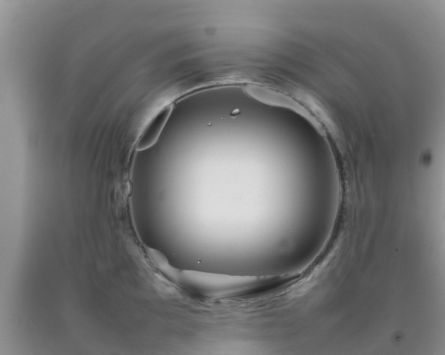 X0000092061097200709191136