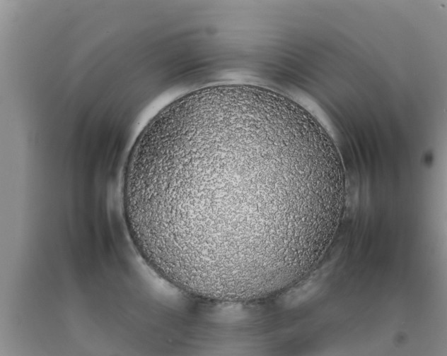 X0000092061098200709191136