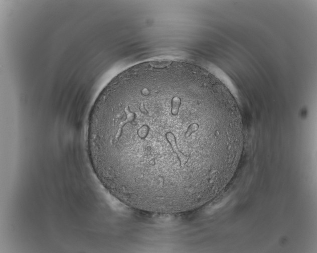 X0000092061099200709191136