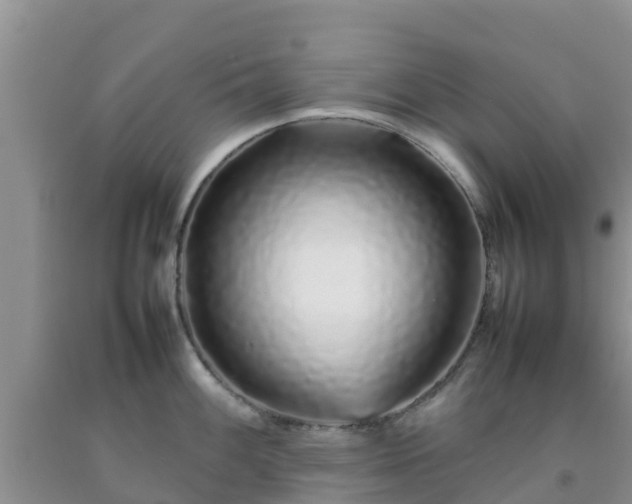 X0000092061100200709191136