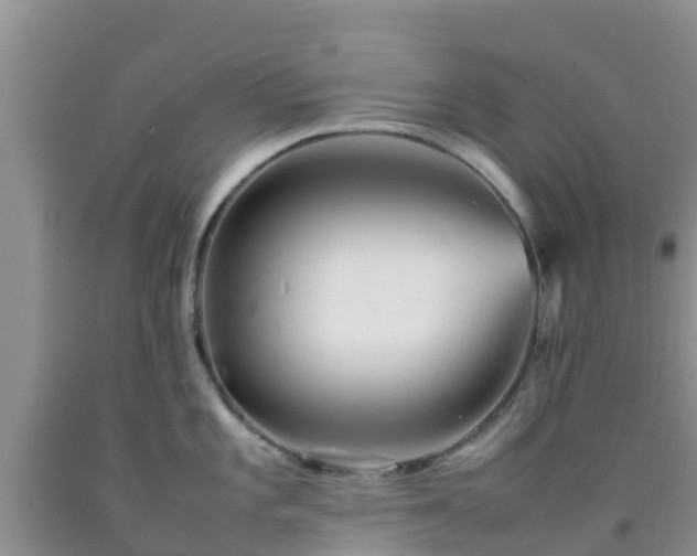 X0000092061101200709191136