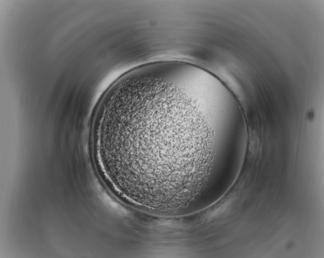 X0000092061102200709191136