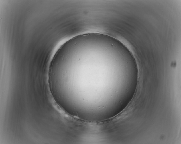 X0000092061104200709191136