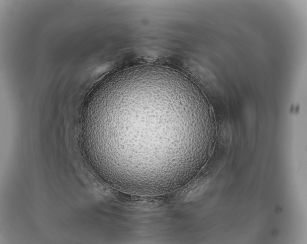 X0000092061105200709191135