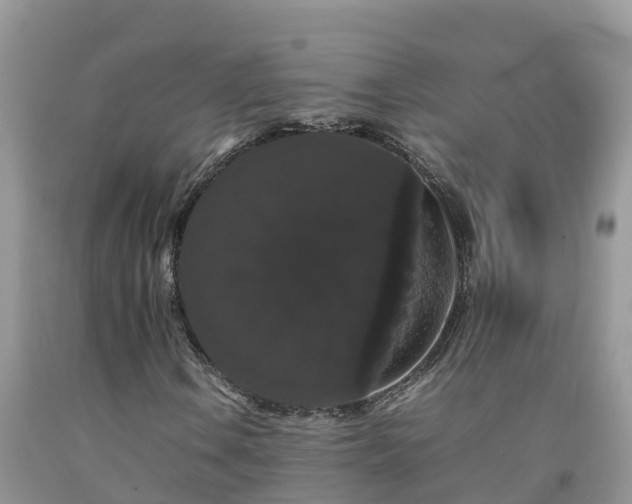 X0000092061106200709191135