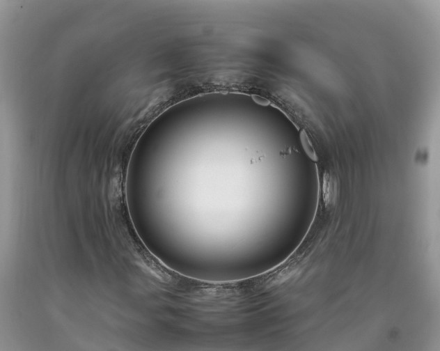 X0000092061107200709191135