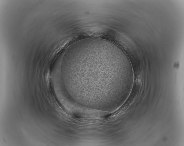 X0000092061108200709191135