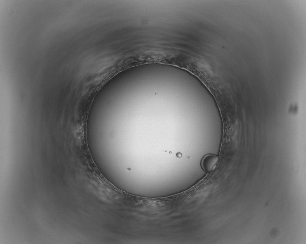 X0000092061109200709191135