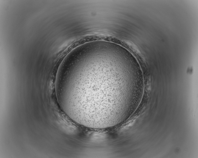 X0000092061110200709191135