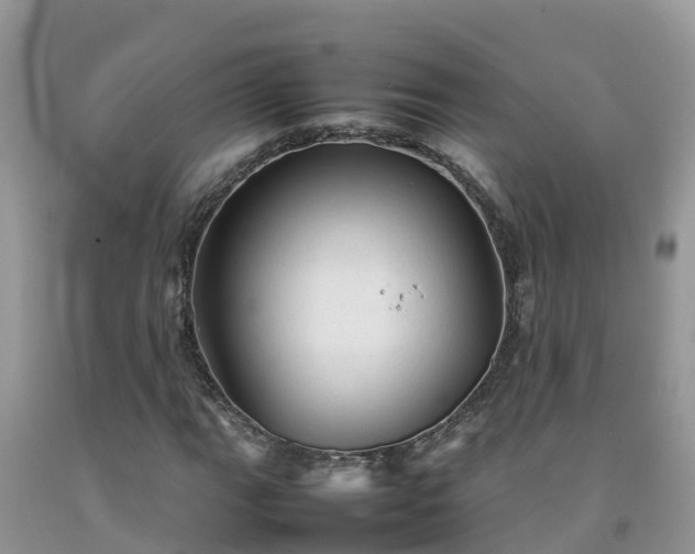 X0000092061111200709191135