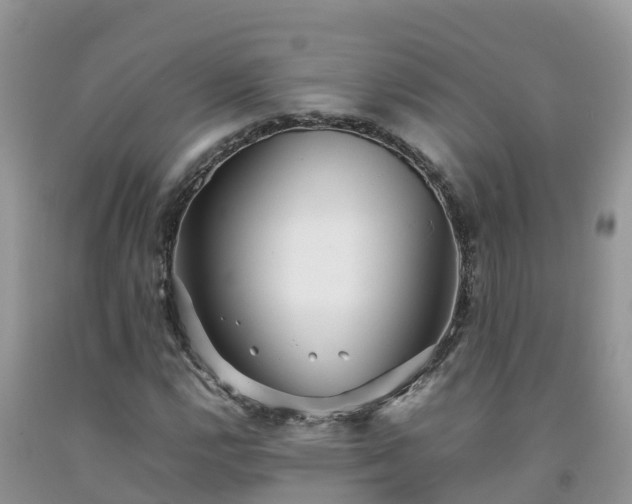 X0000092061112200709191135