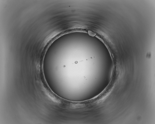 X0000092061113200709191135