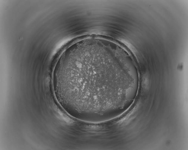 X0000092061115200709191135