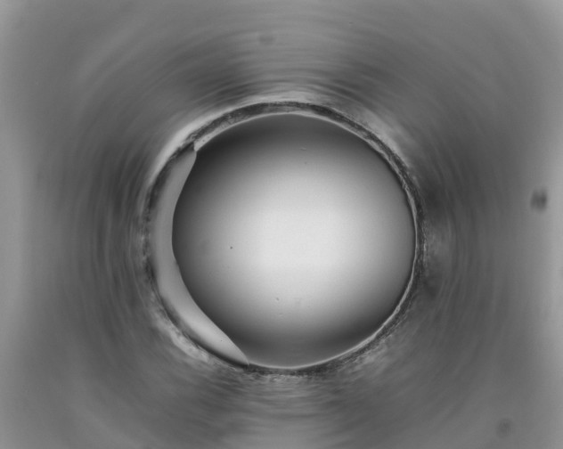 X0000092061116200709191135