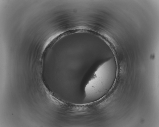 X0000092061117200709191135