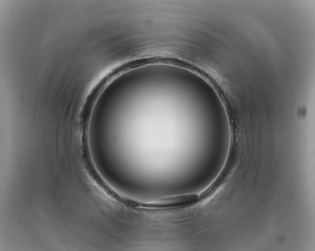 X0000092061118200709191135