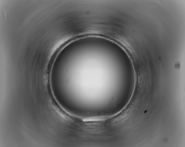 X0000092061119200709191135