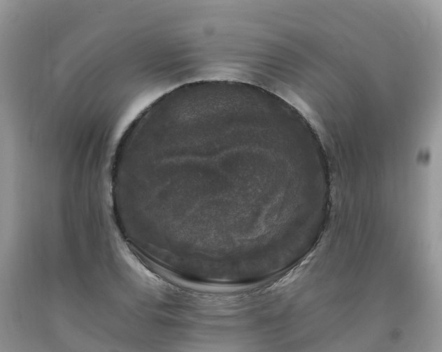 X0000092061120200709191135