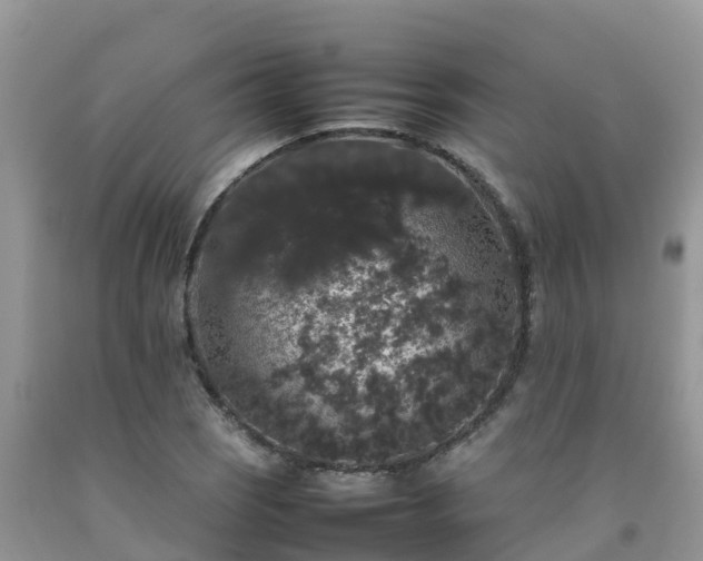 X0000092061121200709191135