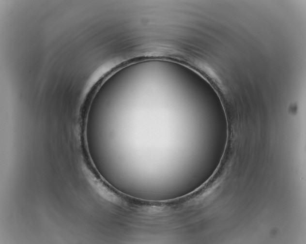 X0000092061122200709191135