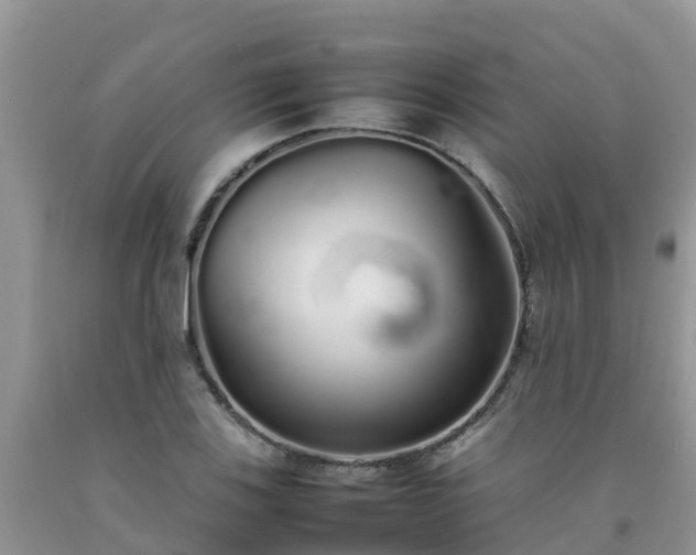 X0000092061123200709191135